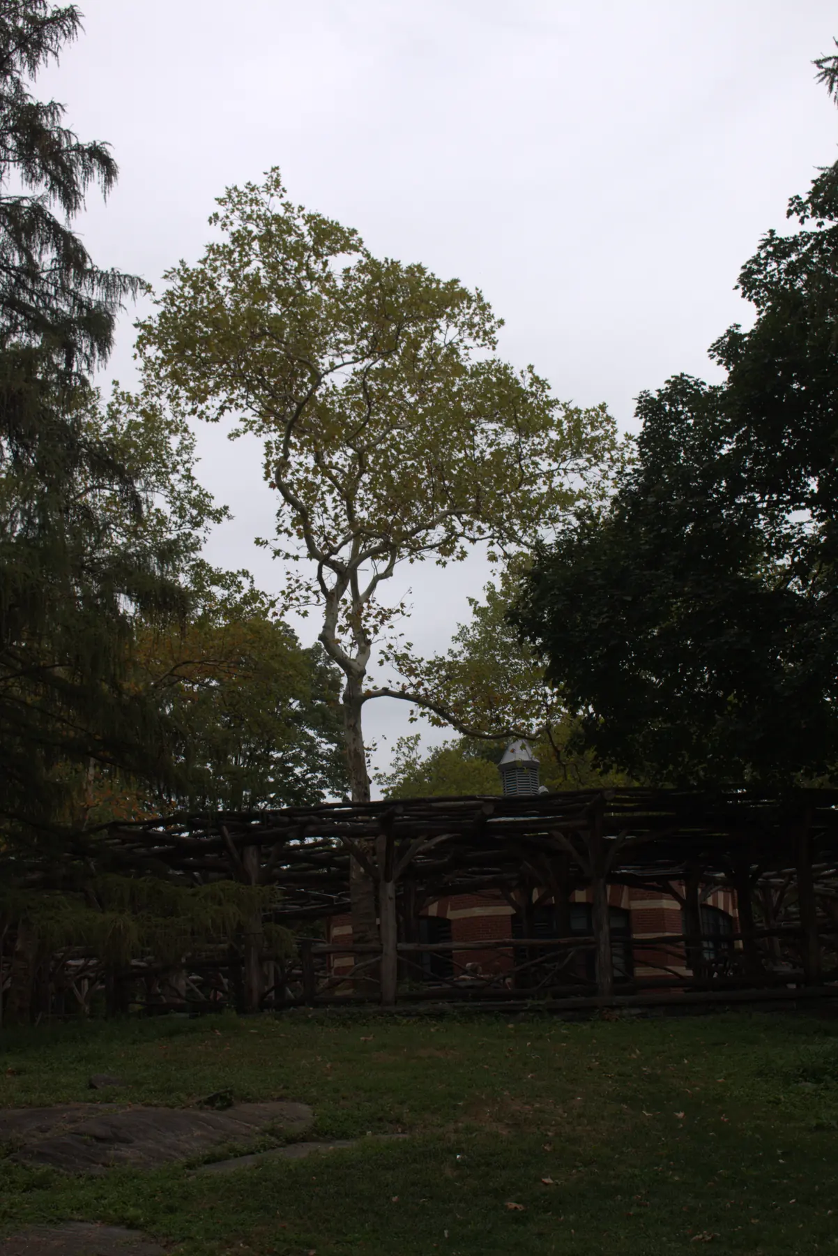 Urban texture exploration with controlled exposure and line flow